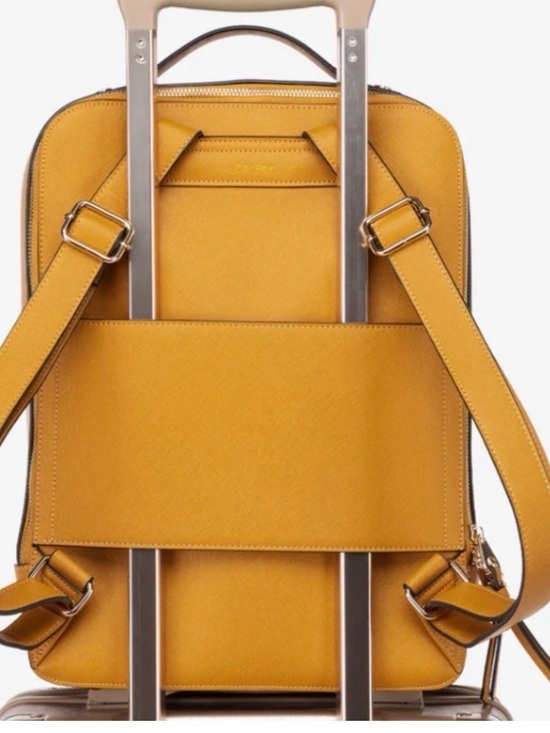 Calpak Kaya 15 inch Laptop Backpack in
Honey ?. Comes with tags and dust bag.